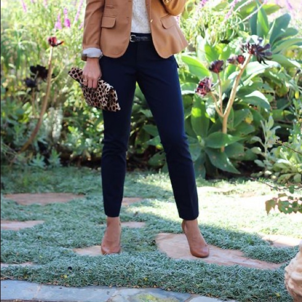 Banana Republic Sloan Pant in Navy
